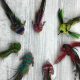 DIY Pet Teaser Lure Replacements: Crafty Fun! | The DIY Hub: Creative Crafts, Repairs & Life Hacks