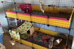 Build Your Dream: DIY Cavy Cage Ideas & Guide The DIY Hub: Creative Crafts, Repairs & Life Hacks Build Your Dream: DIY Cavy Cage Ideas & Guide | The DIY Hub: Creative Crafts, Repairs & Life Hacks