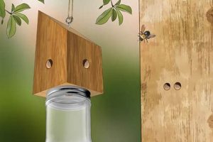 Easy DIY Bee Trap Ideas: Build Your Own! The DIY Hub: Creative Crafts, Repairs & Life Hacks Easy DIY Bee Trap Ideas: Build Your Own! | The DIY Hub: Creative Crafts, Repairs & Life Hacks