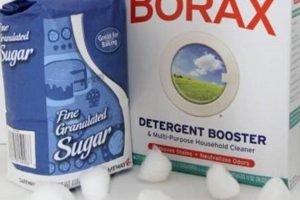 Easy DIY Ant Catcher: Build Your Own & Stop Ants Fast! The DIY Hub: Creative Crafts, Repairs & Life Hacks Easy DIY Ant Catcher: Build Your Own & Stop Ants Fast! | The DIY Hub: Creative Crafts, Repairs & Life Hacks