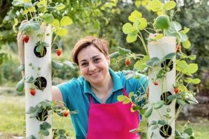 Easy DIY Strawberry Planter Ideas + Tips The DIY Hub: Creative Crafts, Repairs & Life Hacks Easy DIY Strawberry Planter Ideas + Tips | The DIY Hub: Creative Crafts, Repairs & Life Hacks