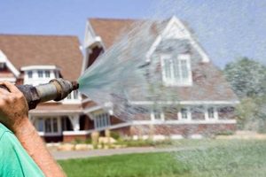 Easy DIY Hydroseeding: Lawn Care & Tips | The DIY Hub: Creative Crafts, Repairs & Life Hacks