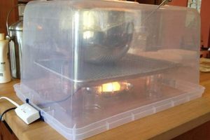Build a Better: DIY Proofing Box Guide for Bakers! | The DIY Hub: Creative Crafts, Repairs & Life Hacks