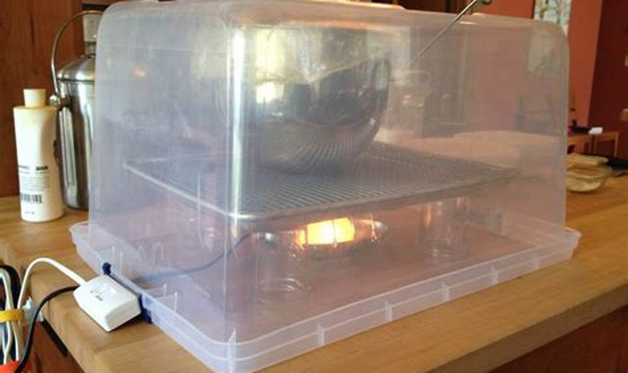 Build a Better: DIY Proofing Box Guide for Bakers! | The DIY Hub: Creative Crafts, Repairs & Life Hacks