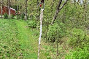 Build Your Own DIY Zipline Fun: A DIY Guide The DIY Hub: Creative Crafts, Repairs & Life Hacks Build Your Own DIY Zipline Fun: A DIY Guide | The DIY Hub: Creative Crafts, Repairs & Life Hacks