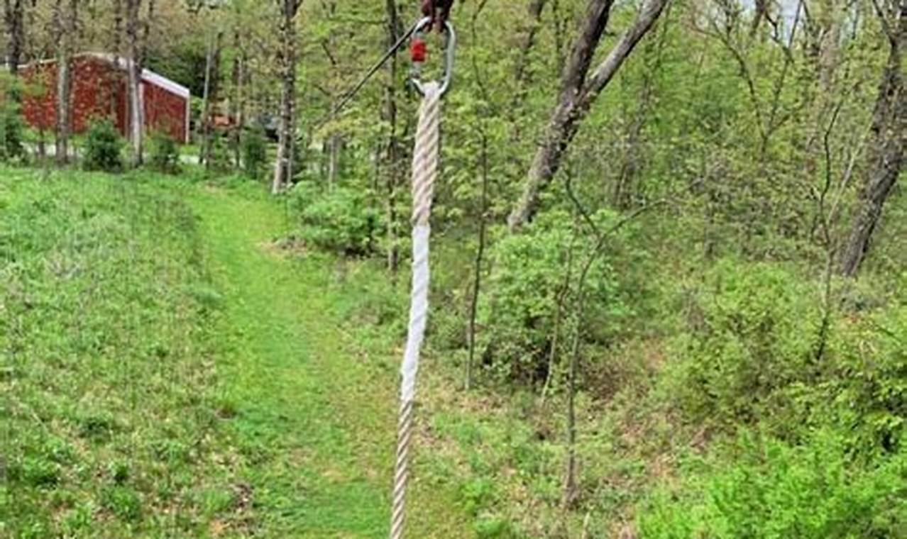 Build Your Own DIY Zipline Fun: A DIY Guide The DIY Hub: Creative Crafts, Repairs & Life Hacks Build Your Own DIY Zipline Fun: A DIY Guide | The DIY Hub: Creative Crafts, Repairs & Life Hacks