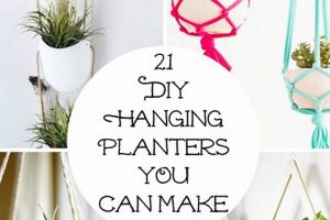 Tiny Oasis: DIY Little Hanging Planters You'll Love! The DIY Hub: Creative Crafts, Repairs & Life Hacks Tiny Oasis: DIY Little Hanging Planters You'll Love! | The DIY Hub: Creative Crafts, Repairs & Life Hacks