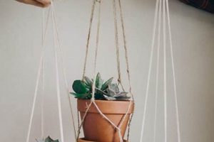 Easy DIY Hanging Plant Holder Ideas: Style & Savings! The DIY Hub: Creative Crafts, Repairs & Life Hacks Easy DIY Hanging Plant Holder Ideas: Style & Savings! | The DIY Hub: Creative Crafts, Repairs & Life Hacks