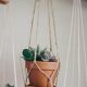 Easy DIY Hanging Plant Holder Ideas: Style & Savings! | The DIY Hub: Creative Crafts, Repairs & Life Hacks