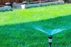 Easy DIY Above Ground Sprinkler System Install | The DIY Hub: Creative Crafts, Repairs & Life Hacks