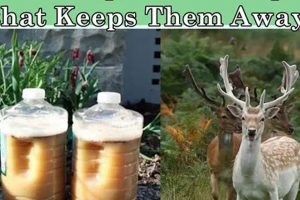 Easy DIY Deer Repellent: Protect Your Garden Now! | The DIY Hub: Creative Crafts, Repairs & Life Hacks