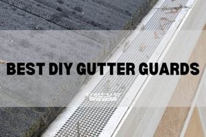 DIY Install: Top-Rated Best DIY Gutter Guards - [Year] | The DIY Hub: Creative Crafts, Repairs & Life Hacks