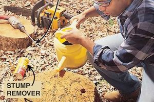 Easy DIY Stump Removal Guide | Tips & Tricks The DIY Hub: Creative Crafts, Repairs & Life Hacks Easy DIY Stump Removal Guide | Tips & Tricks | The DIY Hub: Creative Crafts, Repairs & Life Hacks
