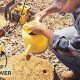 Easy DIY Stump Removal Guide | Tips & Tricks | The DIY Hub: Creative Crafts, Repairs & Life Hacks