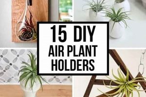 Unique DIY Air Plant Holder Ideas: A Holder's Guide The DIY Hub: Creative Crafts, Repairs & Life Hacks Unique DIY Air Plant Holder Ideas: A Holder's Guide | The DIY Hub: Creative Crafts, Repairs & Life Hacks