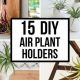 Unique DIY Air Plant Holder Ideas: A Holder's Guide | The DIY Hub: Creative Crafts, Repairs & Life Hacks