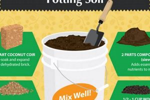 Easy DIY Potting Mix Recipes: Soil Blends & Tips | The DIY Hub: Creative Crafts, Repairs & Life Hacks