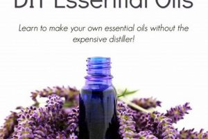Easy DIY Essential Oil Blends At Home | The DIY Hub: Creative Crafts, Repairs & Life Hacks