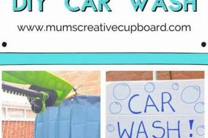 Easy Car Wash DIY: Clean & Shine Your Ride! | The DIY Hub: Creative Crafts, Repairs & Life Hacks