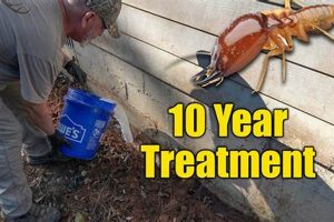 DIY Termite Extermination: Tips & Control Guide The DIY Hub: Creative Crafts, Repairs & Life Hacks DIY Termite Extermination: Tips & Control Guide | The DIY Hub: Creative Crafts, Repairs & Life Hacks