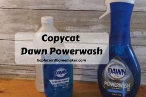 Easy DIY Powerwash Guide: Clean Like a Pro! The DIY Hub: Creative Crafts, Repairs & Life Hacks Easy DIY Powerwash Guide: Clean Like a Pro! | The DIY Hub: Creative Crafts, Repairs & Life Hacks