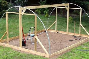 Easy DIY Hoop House Guide: Build Yours Today! | The DIY Hub: Creative Crafts, Repairs & Life Hacks