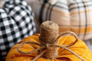 Easy DIY Pumpkin Ideas: Carving & Decor The DIY Hub: Creative Crafts, Repairs & Life Hacks Easy DIY Pumpkin Ideas: Carving & Decor | The DIY Hub: Creative Crafts, Repairs & Life Hacks