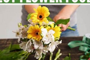 Easy Flower Food DIY: Recipes & Tips for Vibrant Blooms The DIY Hub: Creative Crafts, Repairs & Life Hacks Easy Flower Food DIY: Recipes & Tips for Vibrant Blooms | The DIY Hub: Creative Crafts, Repairs & Life Hacks
