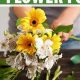 Easy Flower Food DIY: Recipes & Tips for Vibrant Blooms | The DIY Hub: Creative Crafts, Repairs & Life Hacks