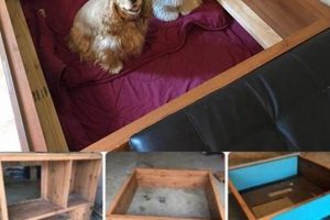 Build a Safe DIY Whelping Box: Plans & Tips The DIY Hub: Creative Crafts, Repairs & Life Hacks Build a Safe DIY Whelping Box: Plans & Tips | The DIY Hub: Creative Crafts, Repairs & Life Hacks