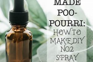 Easy DIY Poo Pourri: Natural Odor Control Solutions The DIY Hub: Creative Crafts, Repairs & Life Hacks Easy DIY Poo Pourri: Natural Odor Control Solutions | The DIY Hub: Creative Crafts, Repairs & Life Hacks