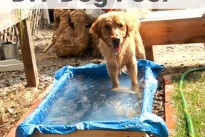 Build a DIY Dog Pool: Easy & Fun Plans! The DIY Hub: Creative Crafts, Repairs & Life Hacks Build a DIY Dog Pool: Easy & Fun Plans! | The DIY Hub: Creative Crafts, Repairs & Life Hacks