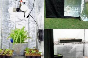 The Ultimate DIY Grow Tent Guide: Build Yours Now! The DIY Hub: Creative Crafts, Repairs & Life Hacks The Ultimate DIY Grow Tent Guide: Build Yours Now! | The DIY Hub: Creative Crafts, Repairs & Life Hacks