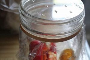 Easy Fruit Fly Trap DIY: Get Rid of Them Fast! The DIY Hub: Creative Crafts, Repairs & Life Hacks Easy Fruit Fly Trap DIY: Get Rid of Them Fast! | The DIY Hub: Creative Crafts, Repairs & Life Hacks