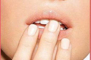 Easy DIY Lip Mask Recipes: Your Guide to Luscious Lips The DIY Hub: Creative Crafts, Repairs & Life Hacks Easy DIY Lip Mask Recipes: Your Guide to Luscious Lips | The DIY Hub: Creative Crafts, Repairs & Life Hacks