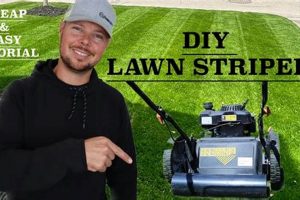 DIY Lawn Striping: Pro Patterns on a Budget! The DIY Hub: Creative Crafts, Repairs & Life Hacks DIY Lawn Striping: Pro Patterns on a Budget! | The DIY Hub: Creative Crafts, Repairs & Life Hacks