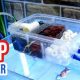 Best DIY Aquarium Filter Ideas: Build Your Own! | The DIY Hub: Creative Crafts, Repairs & Life Hacks