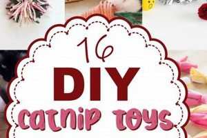 Easy DIY Catnip Toys: Fun & Safe for Cats! The DIY Hub: Creative Crafts, Repairs & Life Hacks Easy DIY Catnip Toys: Fun & Safe for Cats! | The DIY Hub: Creative Crafts, Repairs & Life Hacks