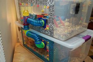 Build a Better DIY Hamster Cage: Ideas & More! | The DIY Hub: Creative Crafts, Repairs & Life Hacks