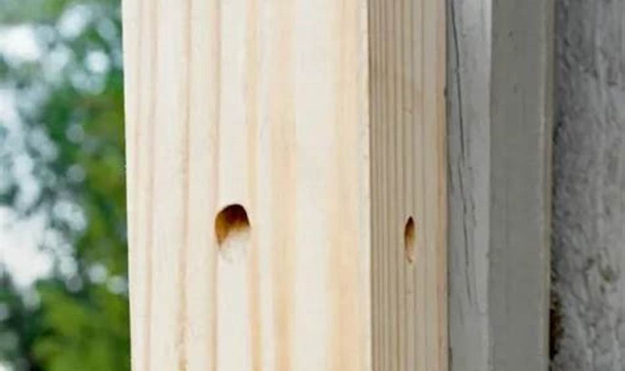 Build Your Own: DIY Carpenter Bee Traps That Work! | The DIY Hub: Creative Crafts, Repairs & Life Hacks