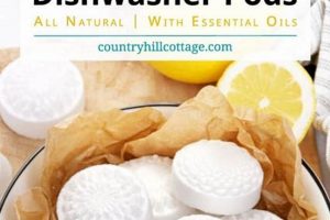 Easy DIY Dishwasher Pods: Save Money & Clean! The DIY Hub: Creative Crafts, Repairs & Life Hacks Easy DIY Dishwasher Pods: Save Money & Clean! | The DIY Hub: Creative Crafts, Repairs & Life Hacks