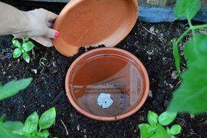 DIY Olla Magic: Simple Clay Pot Irrigation | The DIY Hub: Creative Crafts, Repairs & Life Hacks