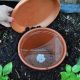 DIY Olla Magic: Simple Clay Pot Irrigation | The DIY Hub: Creative Crafts, Repairs & Life Hacks