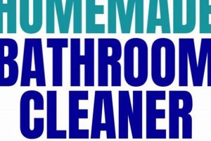Easy DIY Bathroom Cleaner: Recipes & Tips | The DIY Hub: Creative Crafts, Repairs & Life Hacks