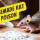 Easy DIY Rat Poison Recipes: Is It Worth It? | The DIY Hub: Creative Crafts, Repairs & Life Hacks