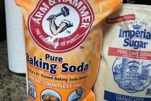 Easy DIY Roach Killer: Natural Home Pest Control | The DIY Hub: Creative Crafts, Repairs & Life Hacks