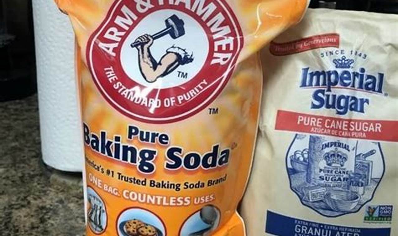 Easy DIY Roach Killer: Natural Home Pest Control | The DIY Hub: Creative Crafts, Repairs & Life Hacks