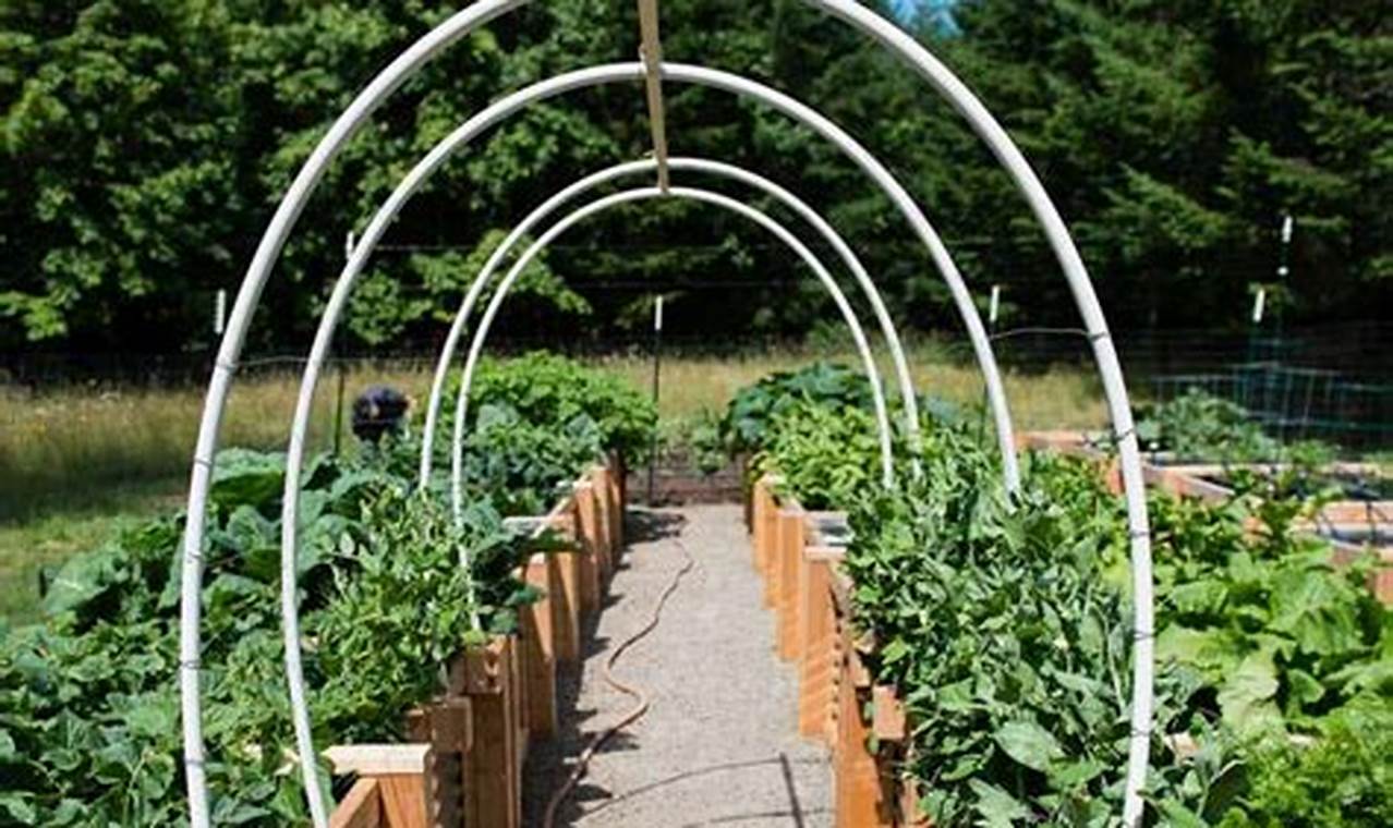Easy DIY Garden Trellis Arch Ideas + Designs | The DIY Hub: Creative Crafts, Repairs & Life Hacks