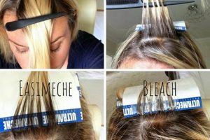 Easy DIY Highlights: Get Salon Results at Home! The DIY Hub: Creative Crafts, Repairs & Life Hacks Easy DIY Highlights: Get Salon Results at Home! | The DIY Hub: Creative Crafts, Repairs & Life Hacks