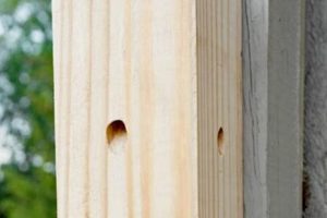 Easy Carpenter Bee Traps DIY: Build Your Own! The DIY Hub: Creative Crafts, Repairs & Life Hacks Easy Carpenter Bee Traps DIY: Build Your Own! | The DIY Hub: Creative Crafts, Repairs & Life Hacks